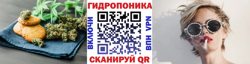 Canna-Cookies марихуана Сосновоборск