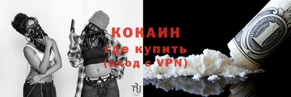 шишки Елизово