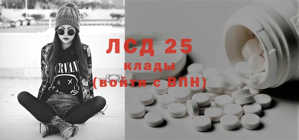 прущий лед Алзамай