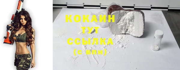 прущий лед Алзамай