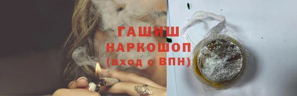 прущий лед Алзамай